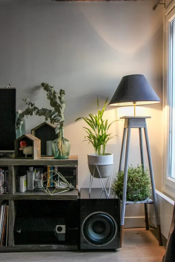 décoration avec une lampe allumé avec des plantes grasses sur la gauche