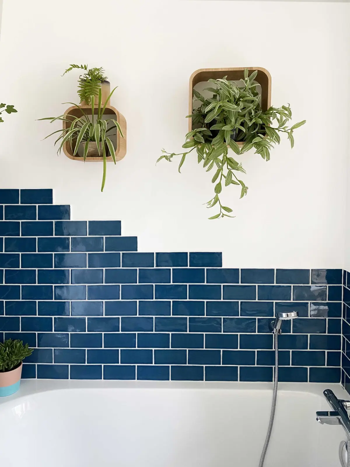 salle de bain, avec une baignoir et sur le mur il y a des carrelages bleus et des plantes suspendues
